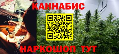 крисы Будённовск