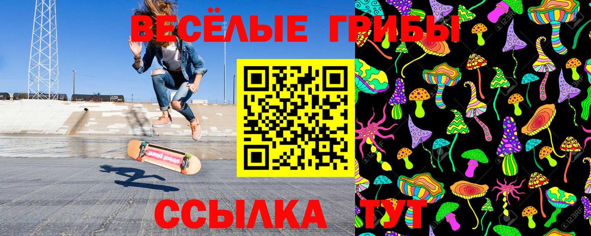 Саранск  Галлюциногенные грибы прущие грибы  Псилоцибиновые грибы прущие грибы  Вход с VPN 