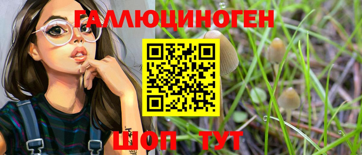Галлюциногенные грибы Cubensis Саранск